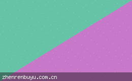 网站1