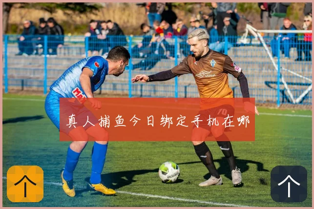 真人捕鱼今日绑定手机在哪